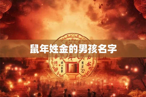 鼠年姓金的男孩名字 鼠年姓金的男孩名字