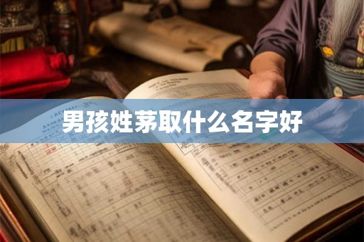 男孩姓茅取什么名字好 男孩姓茅取什么名字好