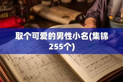 取个可爱的男性小名(集锦255个) 取个可爱的男性小名(集锦255个)
