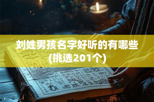 刘姓男孩名字好听的有哪些(挑选201个) 刘姓男孩名字好听的有哪些(挑选201个)