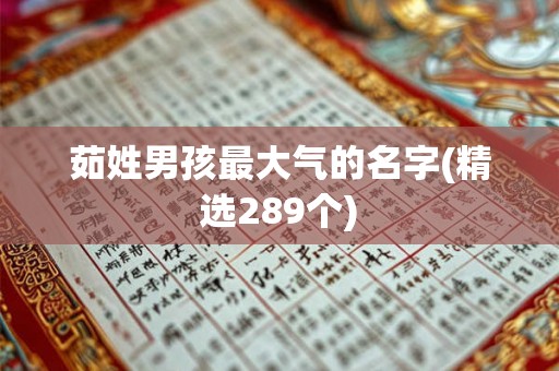 茹姓男孩最大气的名字(精选289个) 茹姓男孩最大气的名字(精选289个)