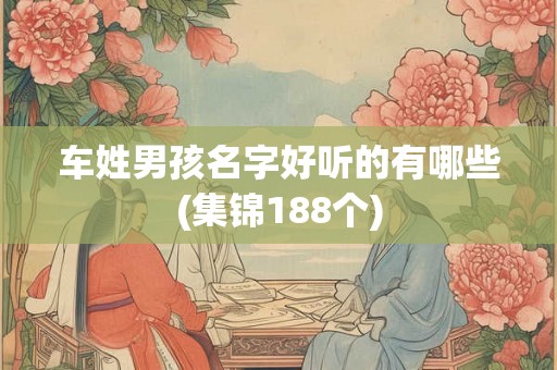 车姓男孩名字好听的有哪些(集锦188个) 车姓男孩名字好听的有哪些(集锦188个)