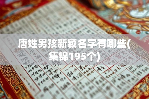 唐姓男孩新颖名字有哪些(集锦195个) 唐姓男孩新颖名字有哪些(集锦195个)