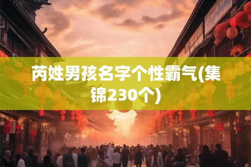 芮姓男孩名字个性霸气(集锦230个)