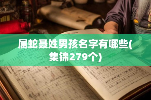 属蛇聂姓男孩名字有哪些(集锦279个)