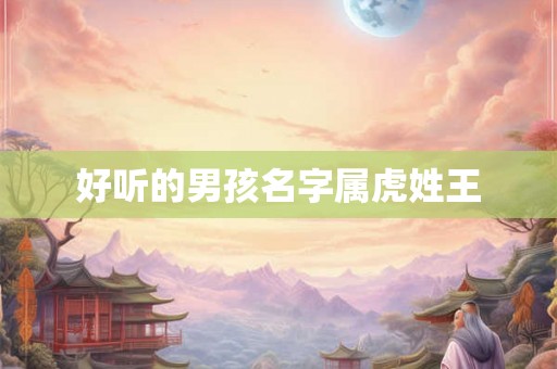 好听的男孩名字属虎姓王