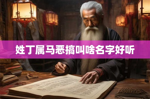 姓丁属马恶搞叫啥名字好听