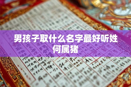 男孩子取什么名字最好听姓何属猪
