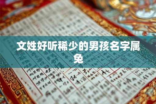 文姓好听稀少的男孩名字属兔