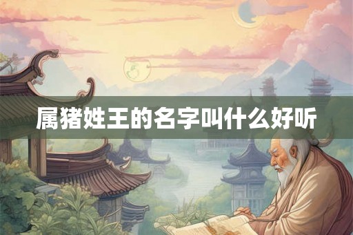属猪姓王的名字叫什么好听