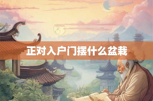 正对入户门摆什么盆栽