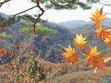 丙子日柱和什么日柱最好 丙子日柱婚姻详解