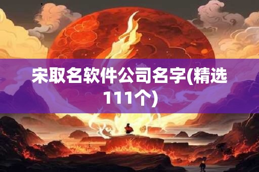 宋取名软件公司名字(精选111个)