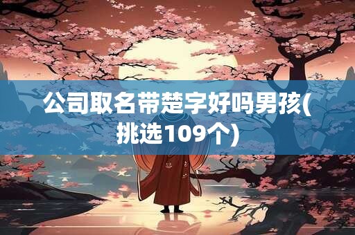 公司取名带楚字好吗男孩(挑选109个)