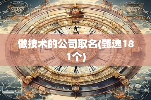 做技术的公司取名(甄选181个)