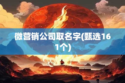 微营销公司取名字(甄选161个)