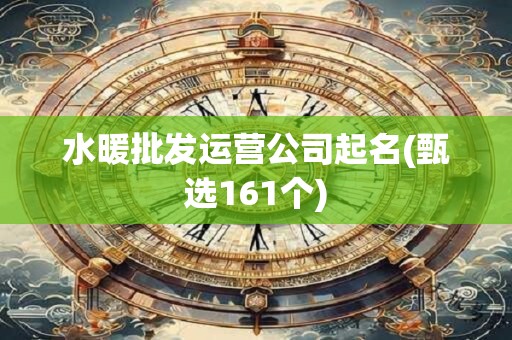 水暖批发运营公司起名(甄选161个)