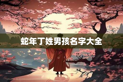 蛇年丁姓男孩名字大全