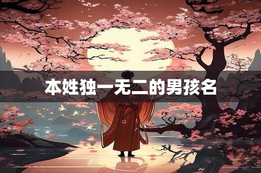 本姓独一无二的男孩名