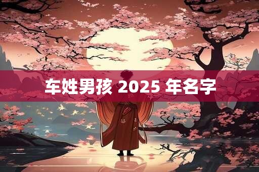 车姓男孩 2025 年名字