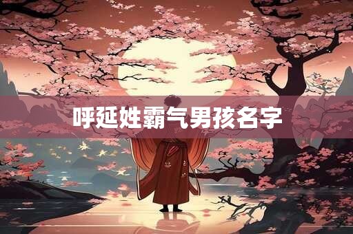 呼延姓霸气男孩名字