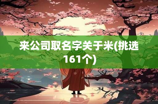 来公司取名字关于米(挑选161个)