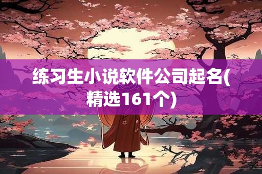 练习生小说软件公司起名(精选161个)