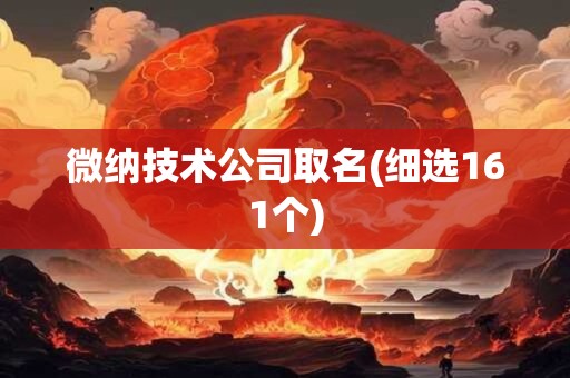 微纳技术公司取名(细选161个)