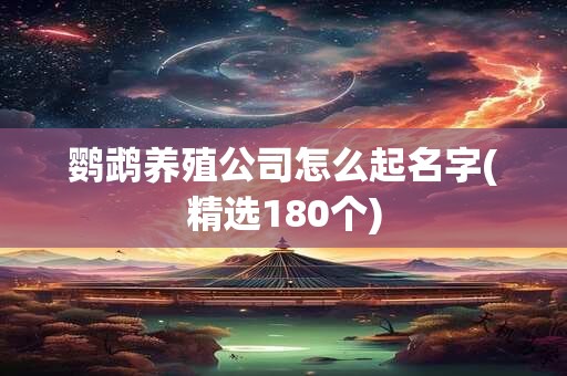 鹦鹉养殖公司怎么起名字(精选180个)