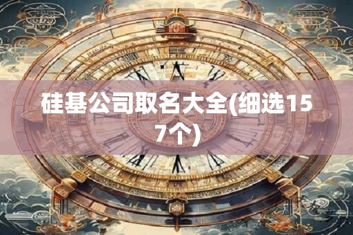 硅基公司取名大全(细选157个)