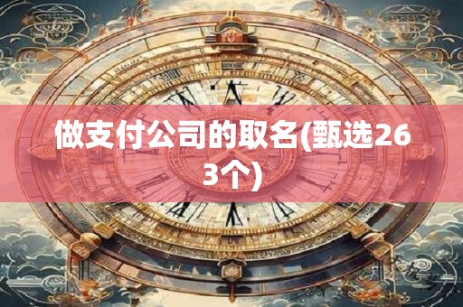做支付公司的取名(甄选263个)