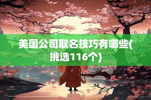美国公司取名技巧有哪些(挑选116个)