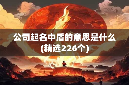 公司起名中盾的意思是什么(精选226个)