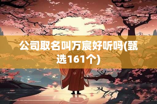 公司取名叫万宸好听吗(甄选161个)