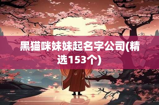黑猫咪妹妹起名字公司(精选153个)
