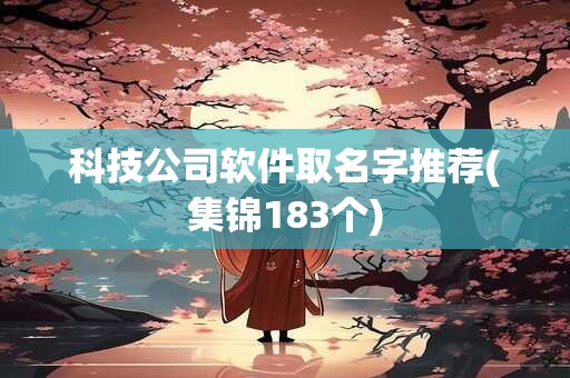 科技公司软件取名字推荐(集锦183个)