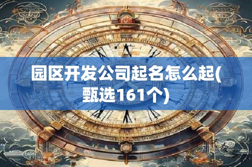 园区开发公司起名怎么起(甄选161个)