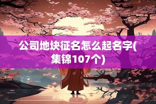 公司地块征名怎么起名字(集锦107个)
