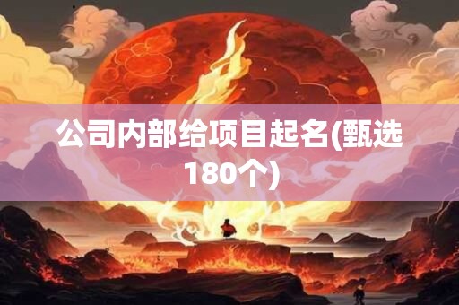 公司内部给项目起名(甄选180个)