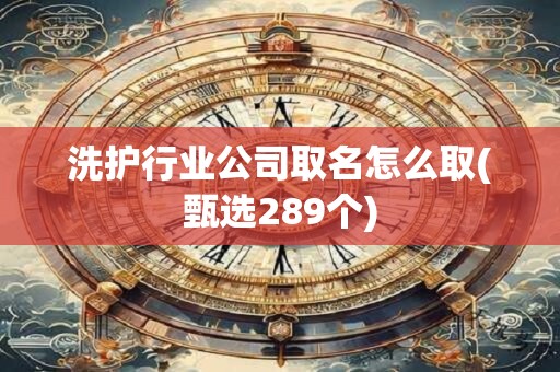 洗护行业公司取名怎么取(甄选289个)