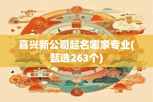 嘉兴新公司起名哪家专业(甄选263个)