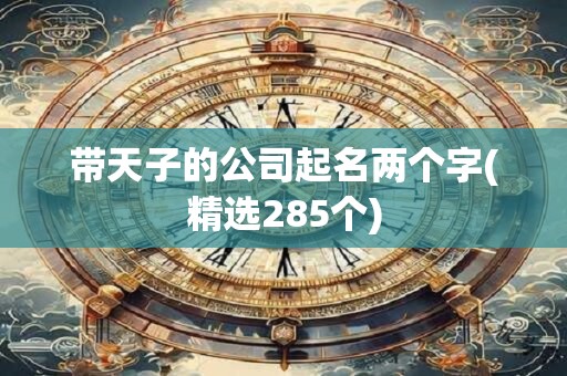 带天子的公司起名两个字(精选285个)