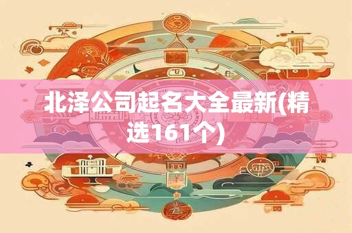 北泽公司起名大全最新(精选161个)