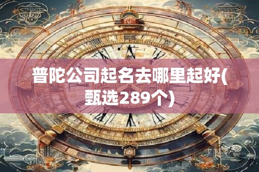 普陀公司起名去哪里起好(甄选289个)