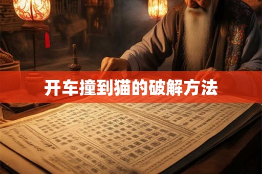 开车撞到猫的破解方法