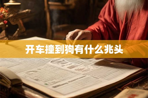 详细阅读:开车撞到狗有什么兆头 开车撞到狗有什么兆头
