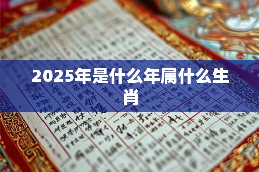 2025年是什么年属什么生肖