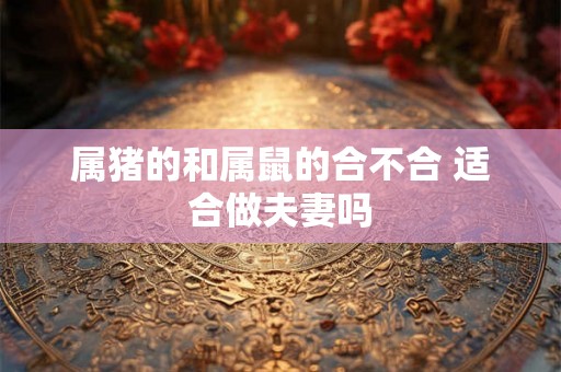 属猪的和属鼠的合不合 适合做夫妻吗