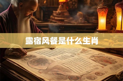 详细阅读:露宿风餐是什么生肖 露宿风餐是什么生肖