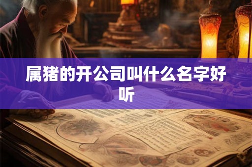 属猪的开公司叫什么名字好听